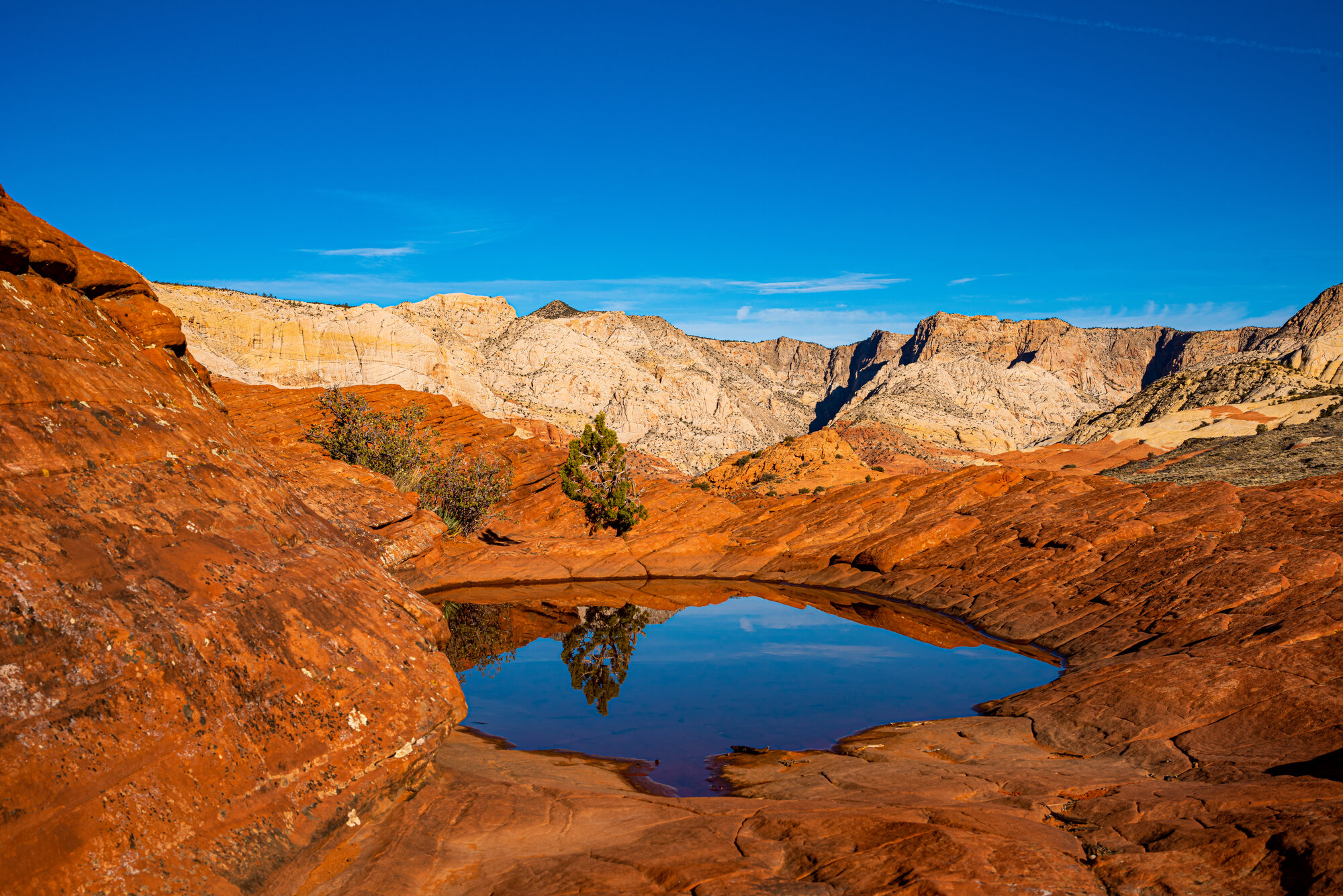 A reflecting pool in Snow Canyon State Park, just north of Santa Clara
